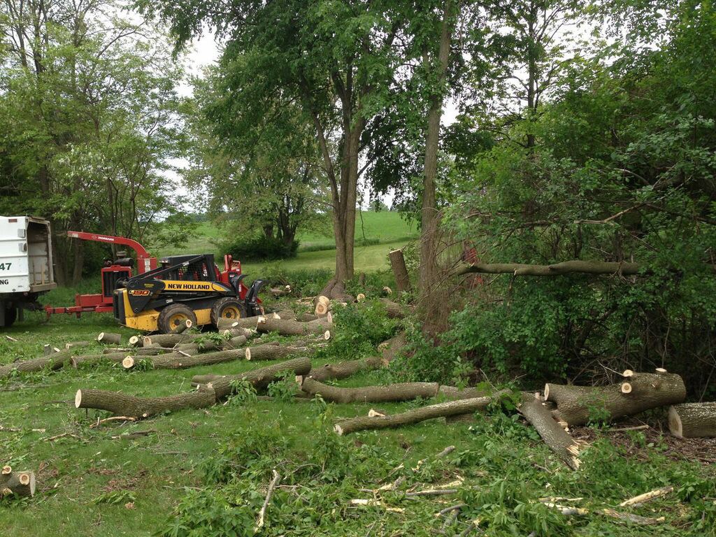 land clearing