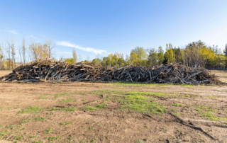 pile of cleared trees