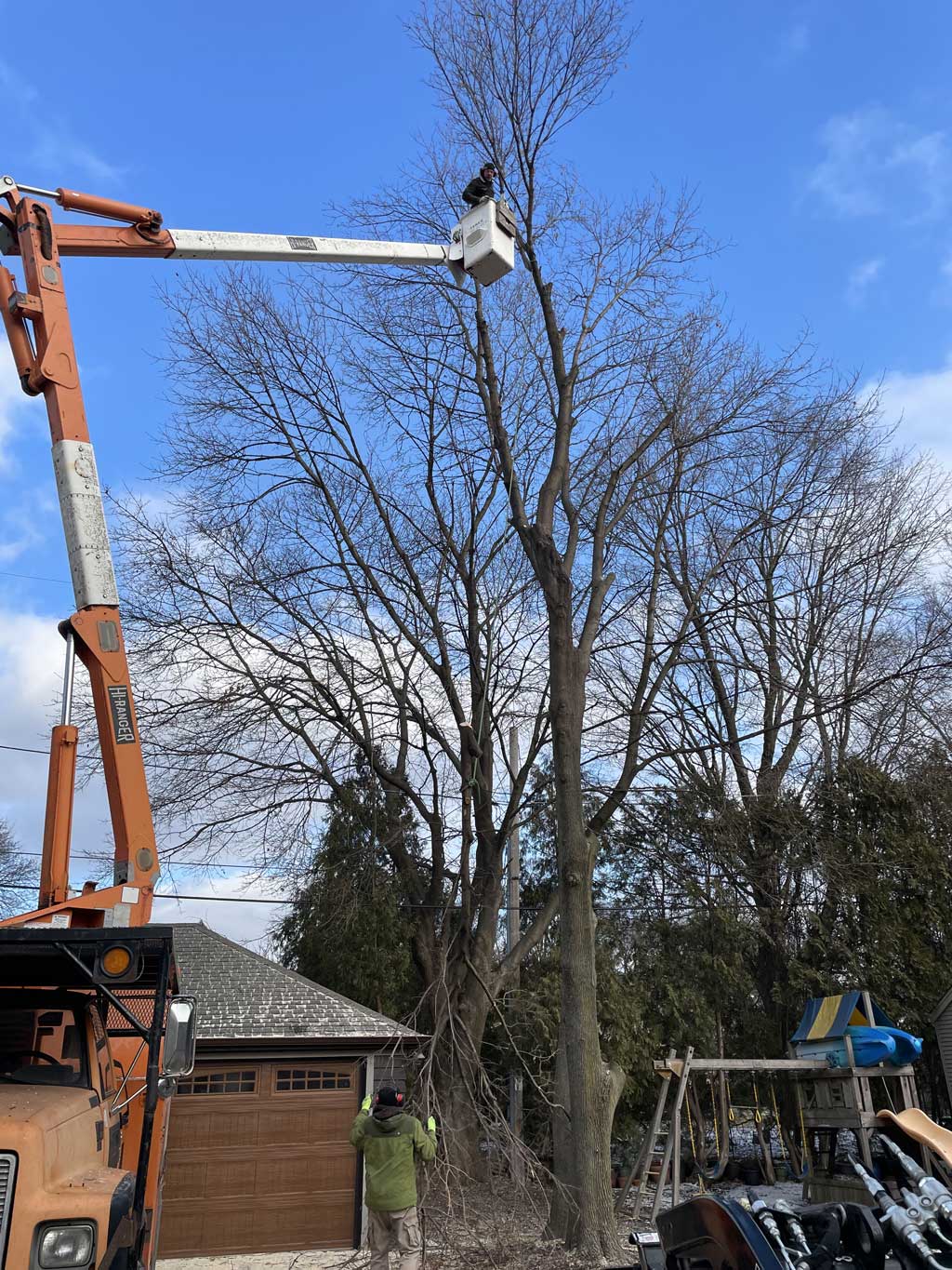 residential tree trimming on a crane