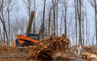 residential land clearing with heavy machinery