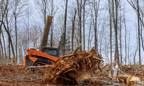 residential land clearing with heavy machinery