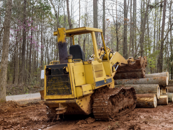 professional tree clearing equipment
